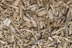 biomass boilers Dry Sandford